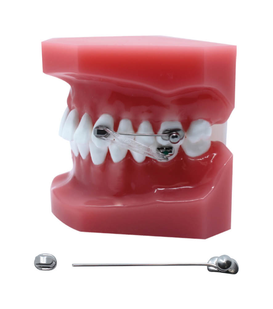 D2 - Apparatur Edelstahl (2er Set)